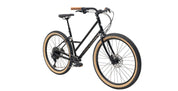 Marin Larkspur 2